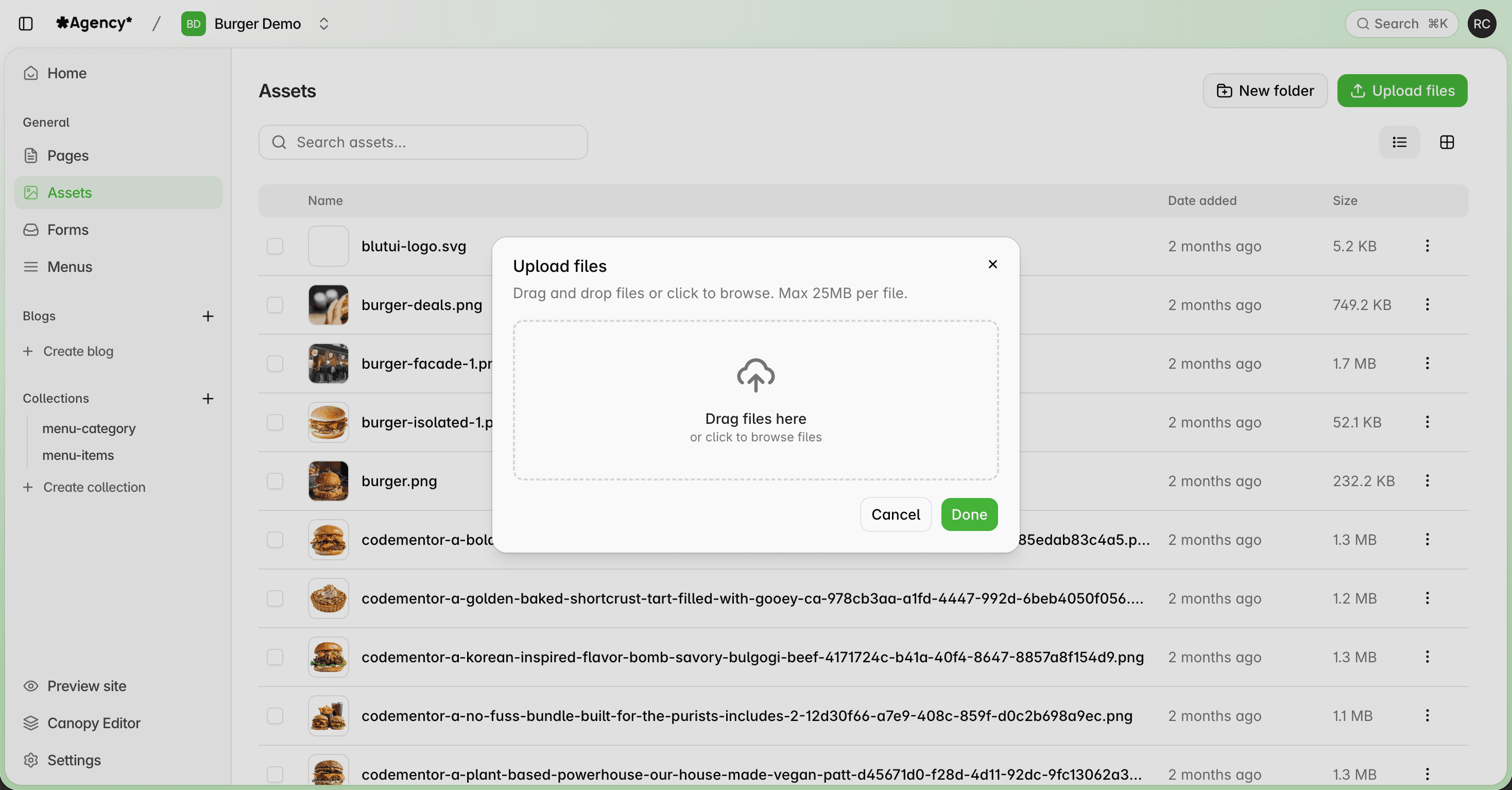 Uploading assets to blutui